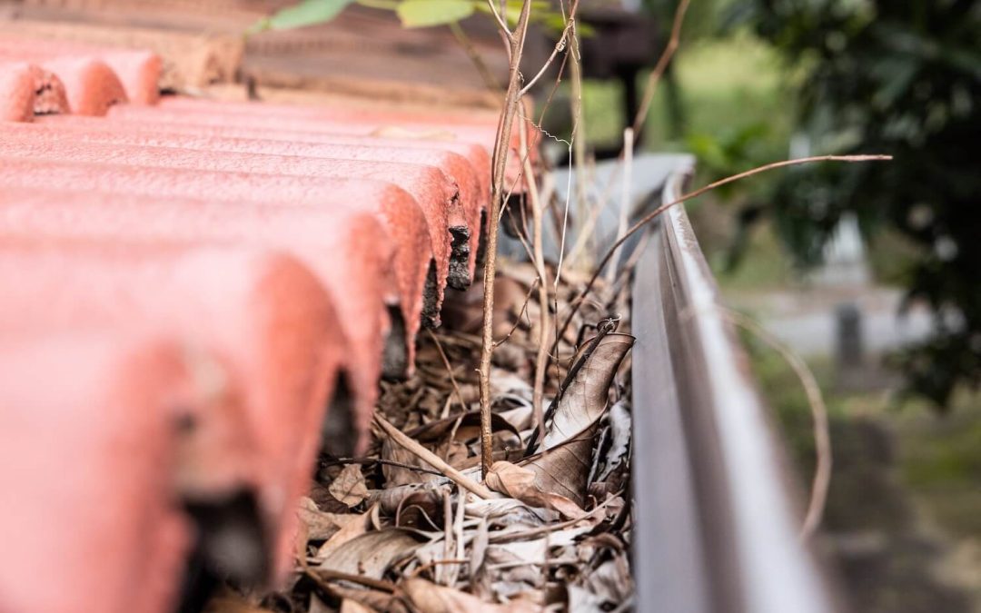 The Impact of Weather on Your Roof: Tips for Seasonal Roof Maintenance